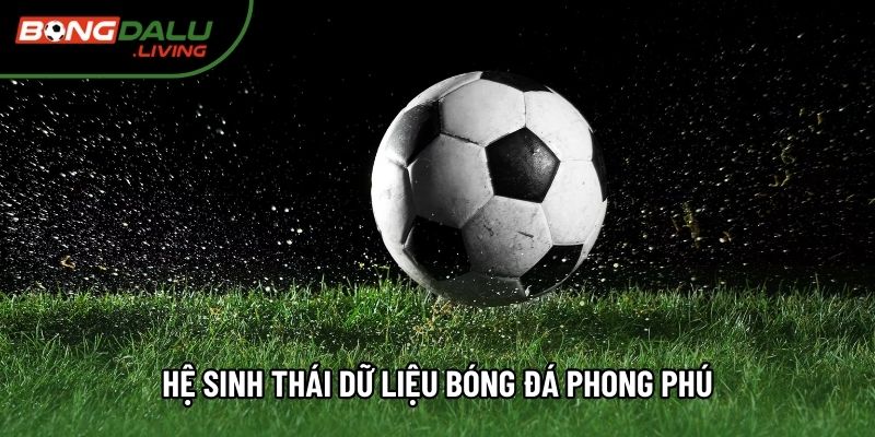 Hệ sinh thái dữ liệu bóng đá phong phú Hệ sinh thái dữ liệu bóng đá phong phú