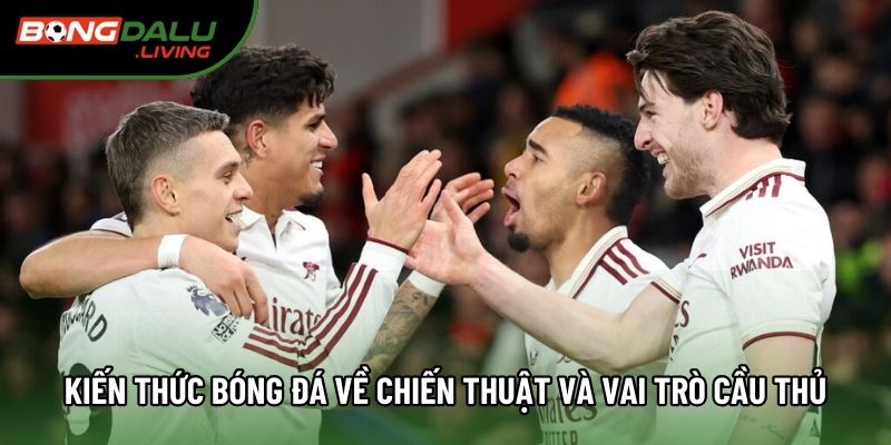 Kiến thức bóng đá về chiến thuật và vai trò cầu thủ Kiến thức bóng đá về chiến thuật và vai trò cầu thủ