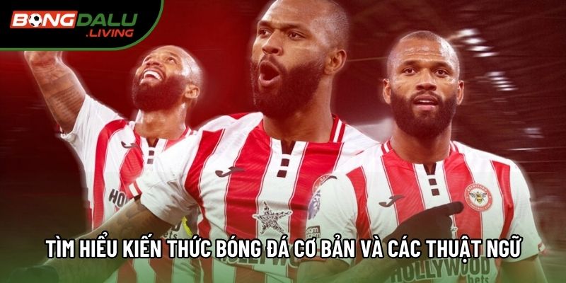 Tìm hiểu kiến thức bóng đá cơ bản và các thuật ngữ Tìm hiểu kiến thức bóng đá cơ bản và các thuật ngữ