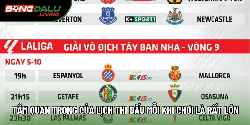 Tầm quan trọng của lịch thi đấu mỗi khi chơi là rất lớn Tầm quan trọng của lịch thi đấu mỗi khi chơi là rất lớn